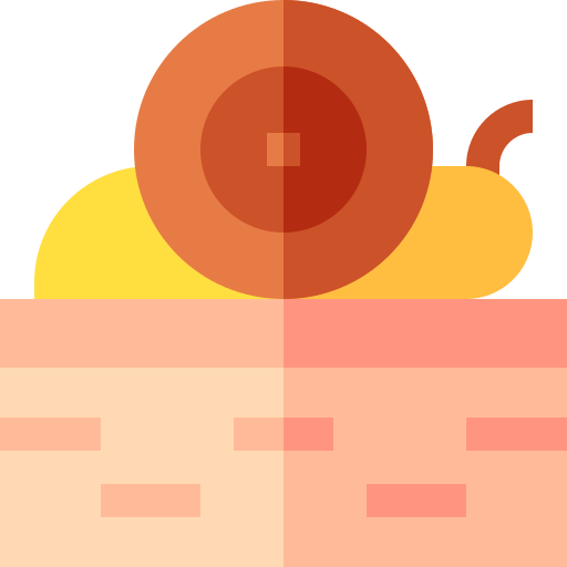 Snail Basic Straight Flat icon