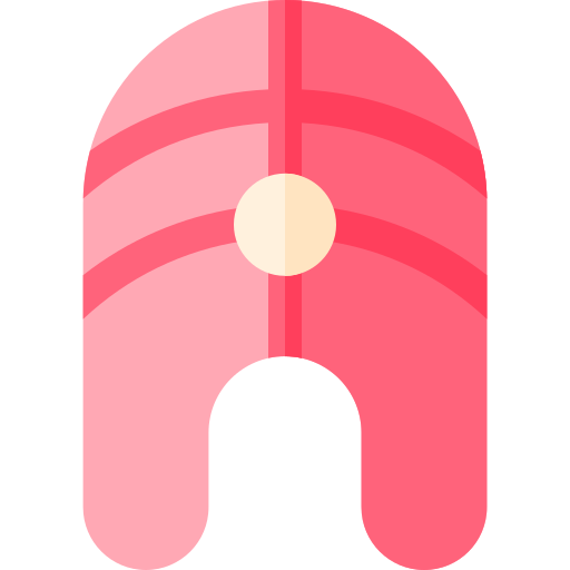 lachs Basic Straight Flat icon