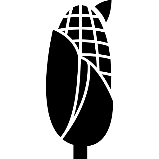maïs  icoon