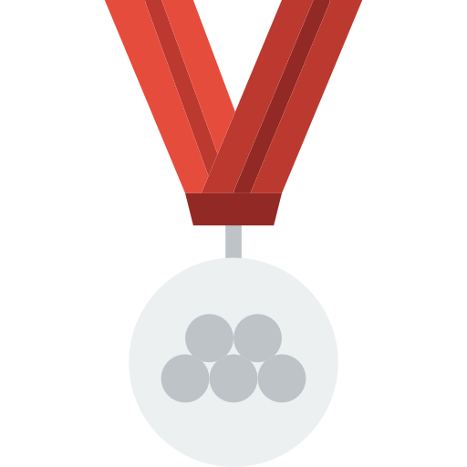 medalha Basic Miscellany Flat Ícone