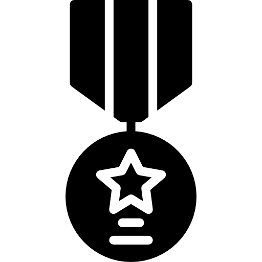 médaille Basic Miscellany Fill Icône