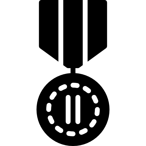 médaille Basic Miscellany Fill Icône