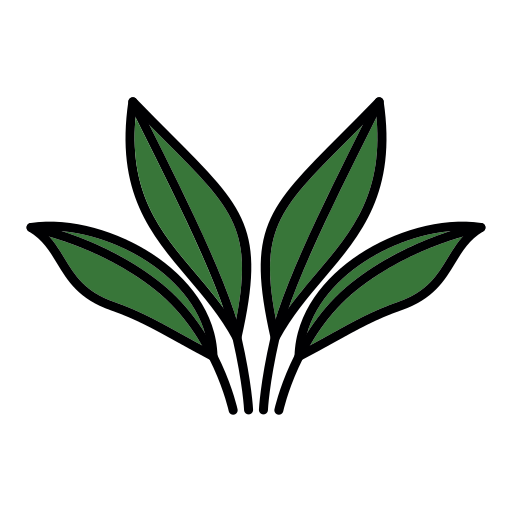 philodendron Generic Outline Color icon
