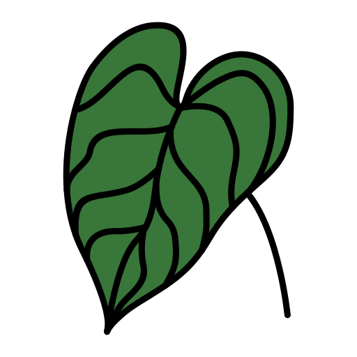 alocasia Generic Outline Color icon