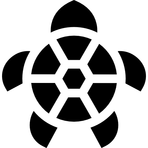 Черепаха Basic Straight Filled иконка