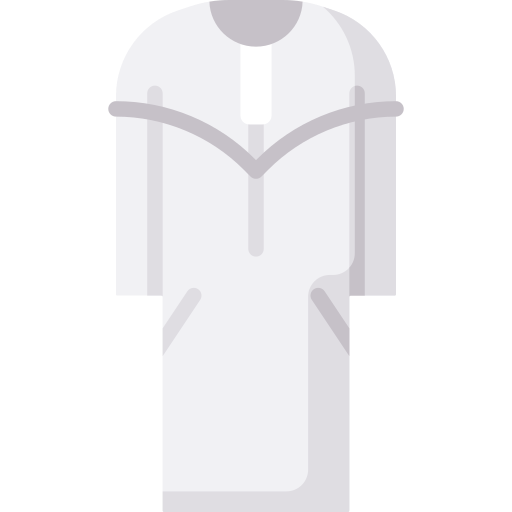 Tunic Special Flat icon