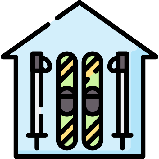 esquiar Special Lineal color icono