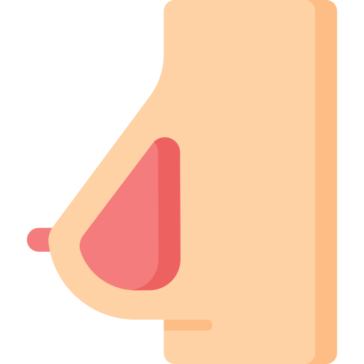 胸 Special Flat icon