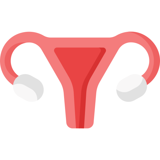 uterus Special Flat icon