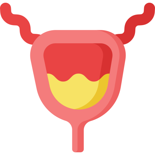 膀胱 Special Flat icon
