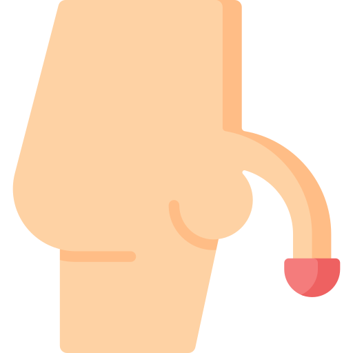 penis Special Flat icon