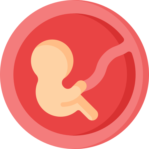 foetus Special Flat icoon