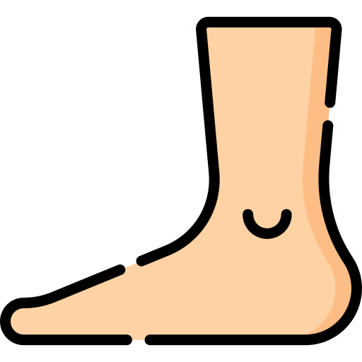 Foot Special Lineal color icon