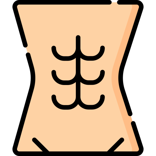 腹部 Special Lineal color icon