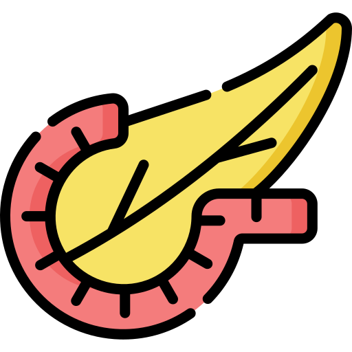 pankreas Special Lineal color icon