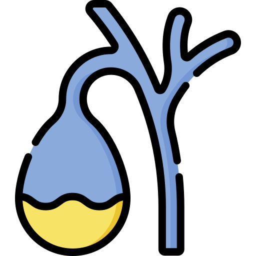 Gallbladder Special Lineal color icon