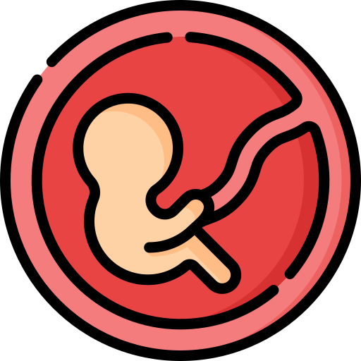 płód Special Lineal color ikona