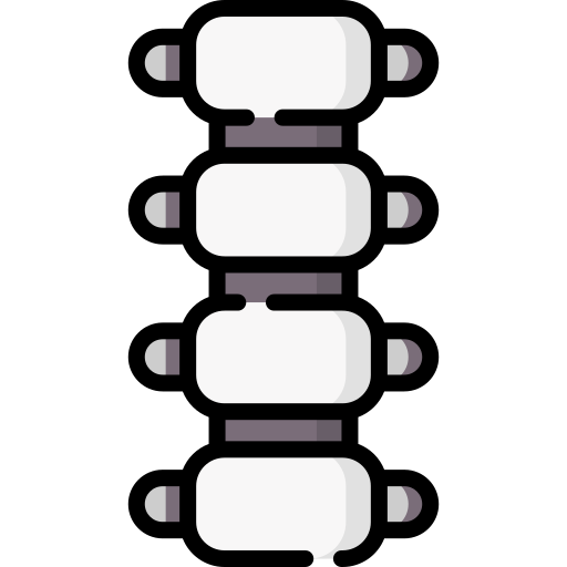 colonne vertébrale Special Lineal color Icône