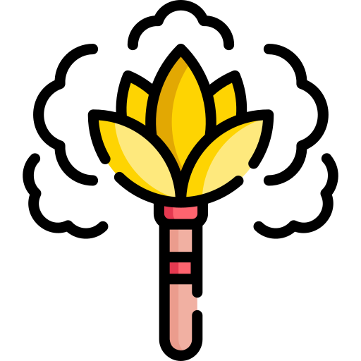 깃털 살포 Special Lineal color icon