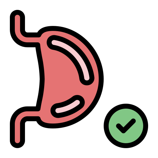 estomac Generic Outline Color Icône