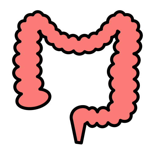 結腸 Generic Outline Color icon