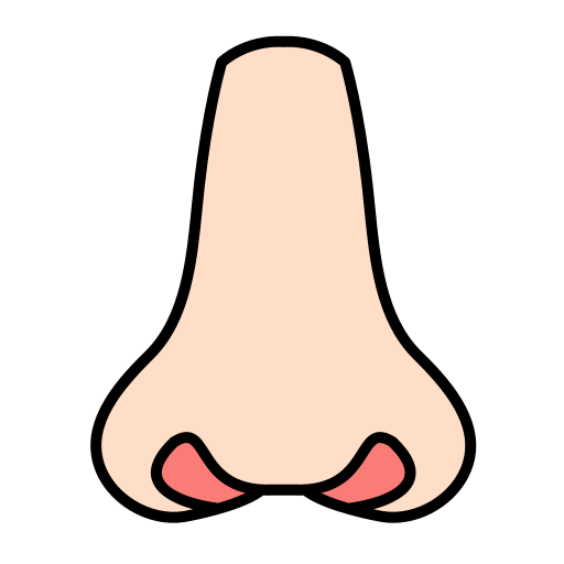 Nose Generic Outline Color icon