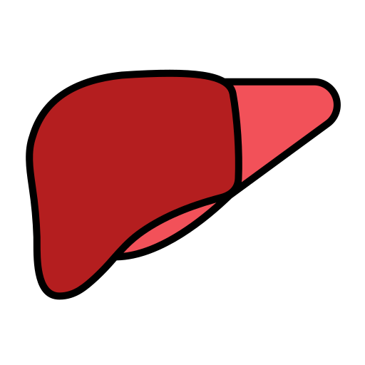 hígado Generic Outline Color icono