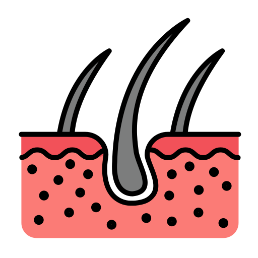 Dermis Generic Outline Color icon