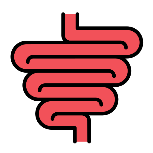 腸 Generic Outline Color icon