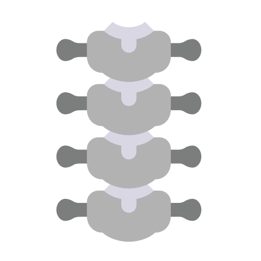 columna vertebral Generic Flat icono