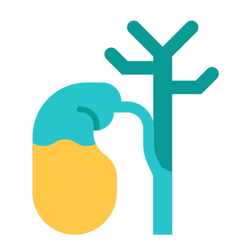 Gallbladder Generic Flat icon