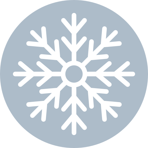 sneeuwvlok Octopocto Lineal Color icoon