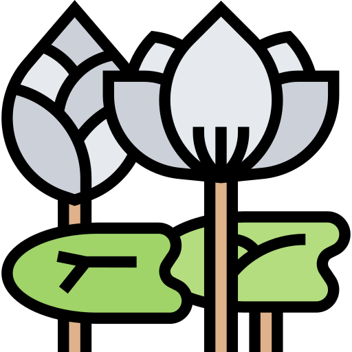 fiore di loto Meticulous Lineal Color icona