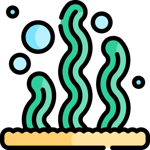 海藻 Kawaii Lineal color icon