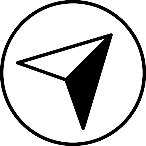 brújula Octopocto Fill icono