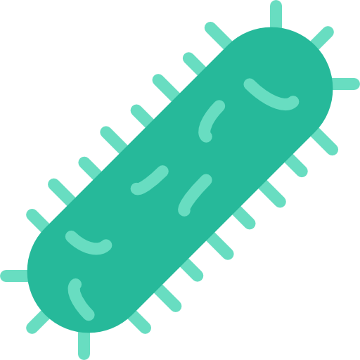 bacterias Basic Miscellany Flat icono