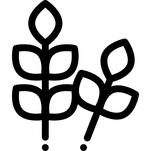 葉 Detailed Rounded Lineal icon