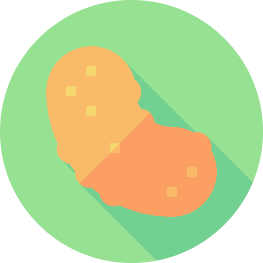 cetriolo di mare Flat Circular Flat icona
