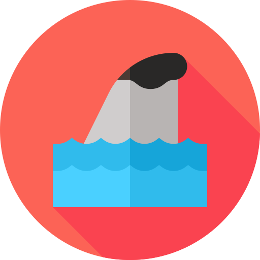 Shark Flat Circular Flat icon