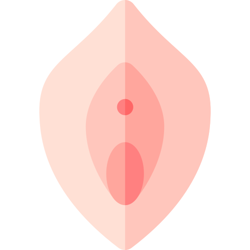 vagina Basic Rounded Flat icoon