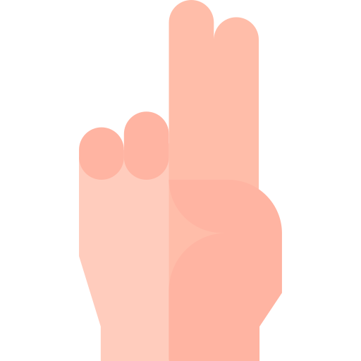 Two fingers Basic Straight Flat icon
