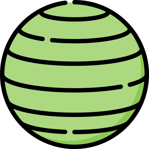 fitball Special Lineal color icon