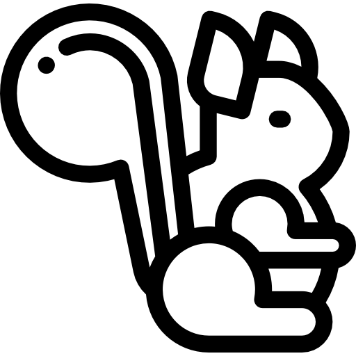 リス Detailed Rounded Lineal icon