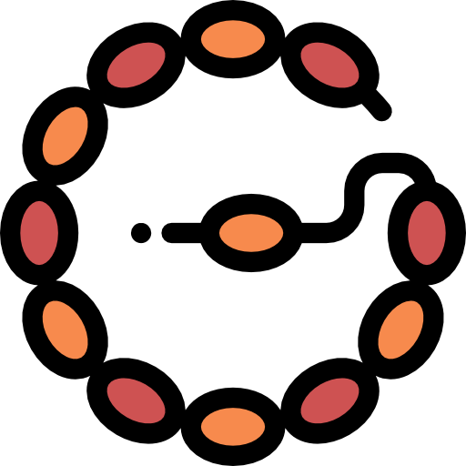 ブレスレット Detailed Rounded Lineal color icon