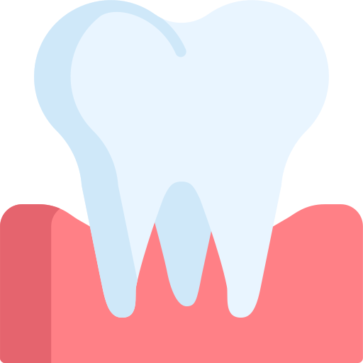 molar Special Flat icono