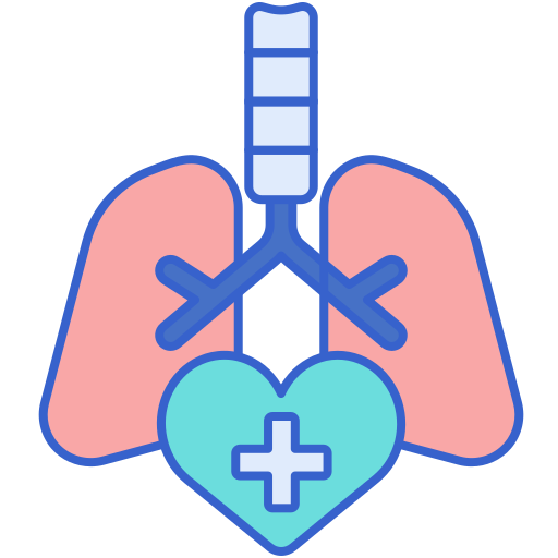 Дыхательная система Flaticons Lineal Color иконка
