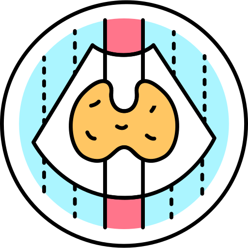 endokrynologia Generic Outline Color ikona