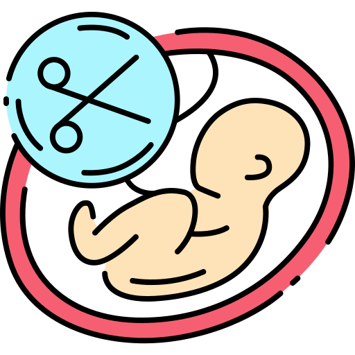 Abortion Generic Outline Color icon