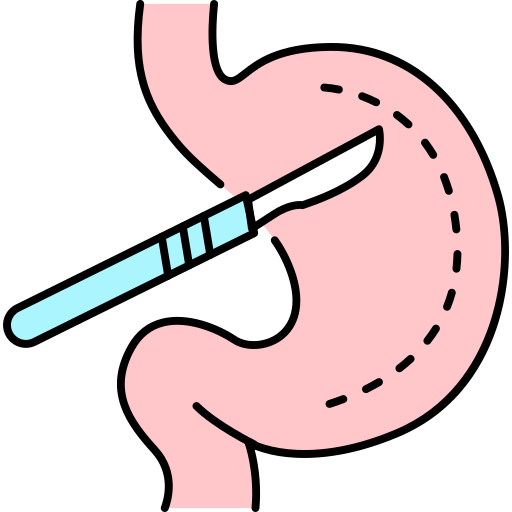 Stomach Generic Outline Color icon