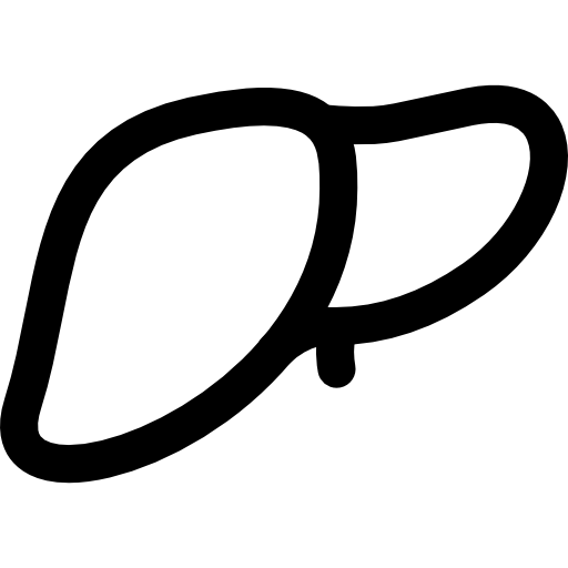 leber Roundicons Lineal icon
